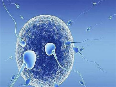 供卵代怀生男宝代生包成功